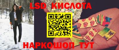 стафф Будённовск