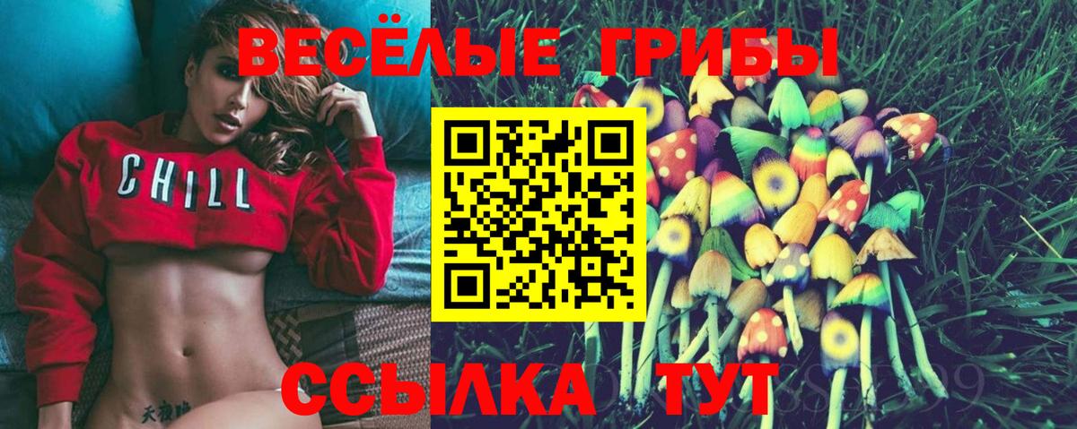 Галлюциногенные грибы Psilocybine cubensis Таганрог