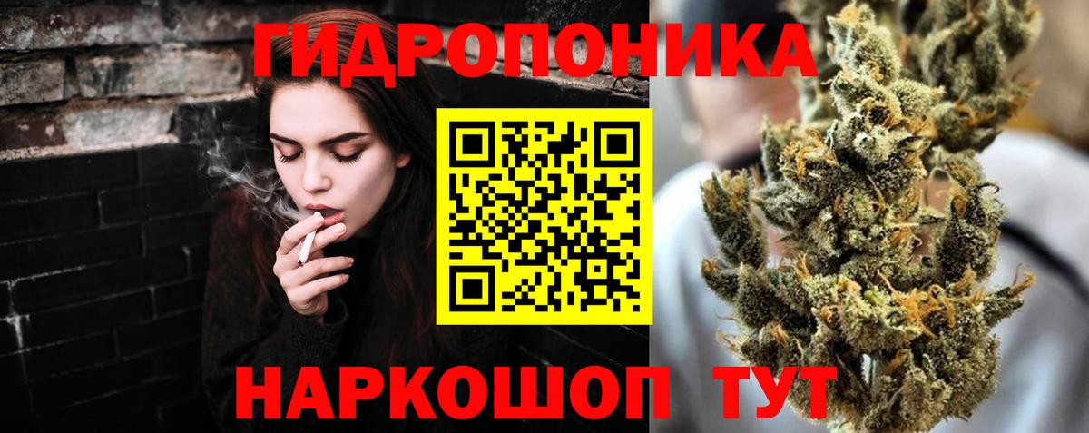 Каннабис индика Таганрог